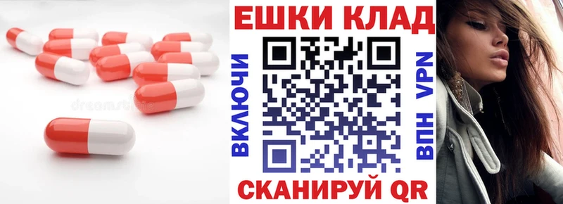 дарнет шоп  Кыштым  Ecstasy Philipp Plein 