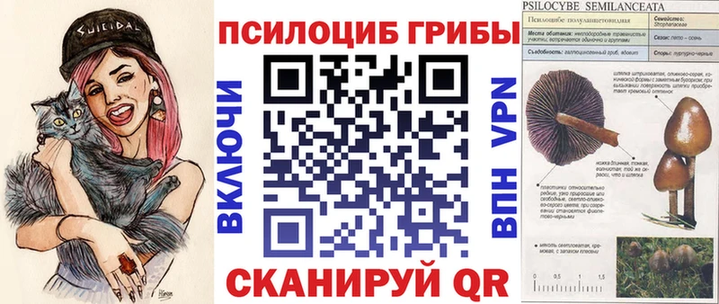 что такое наркотик  Кыштым  Галлюциногенные грибы Psilocybine cubensis 
